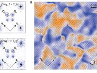 dFF-DWdomains in superconducting and pseudogap phases.